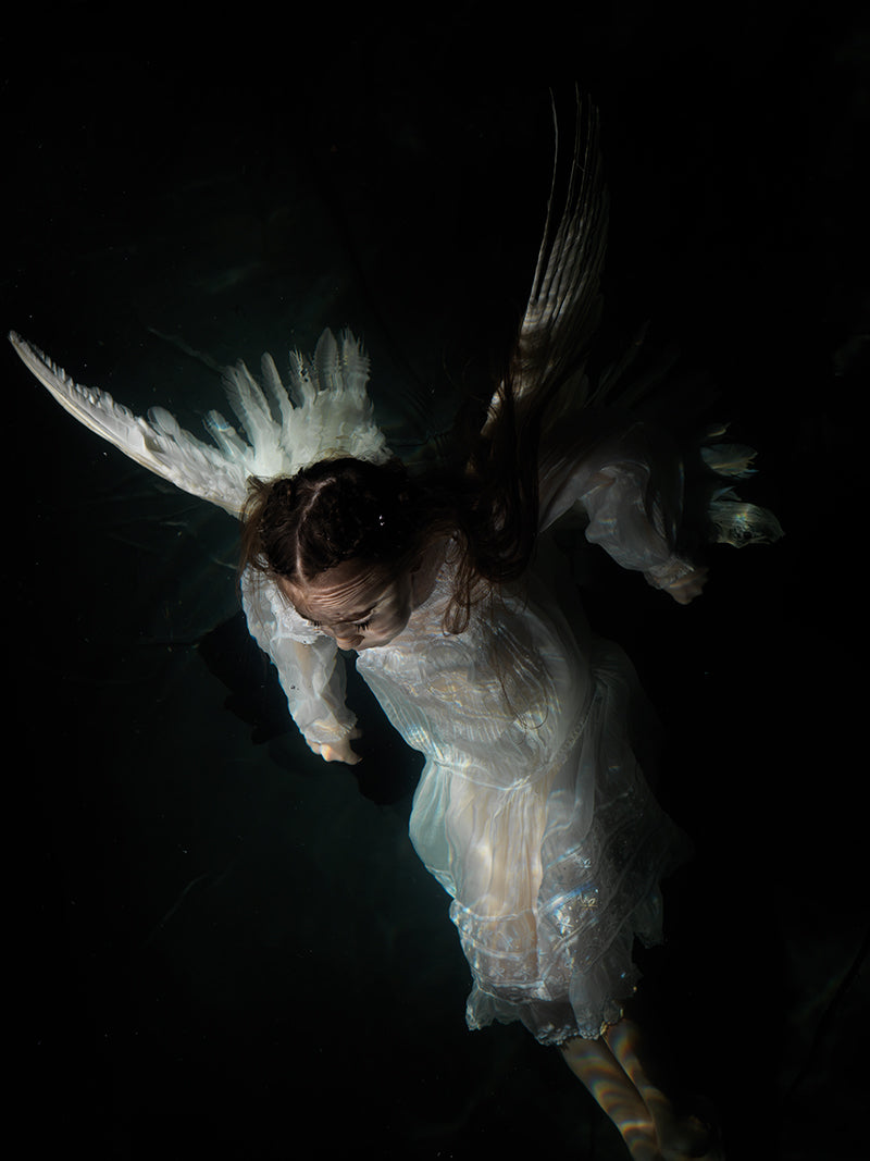 Underwater underwater study composed with quiet eddies and baroque in warm shadow