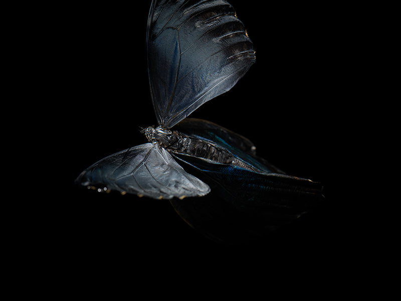 Underwater study suspended underwater with quiet eddies in pale light