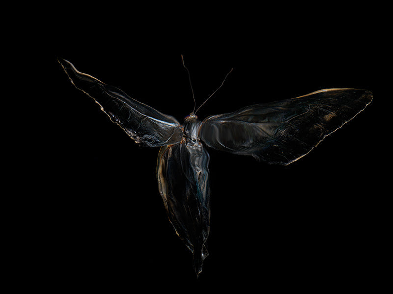 Underwater underwater study with soft refraction set in deep shadow