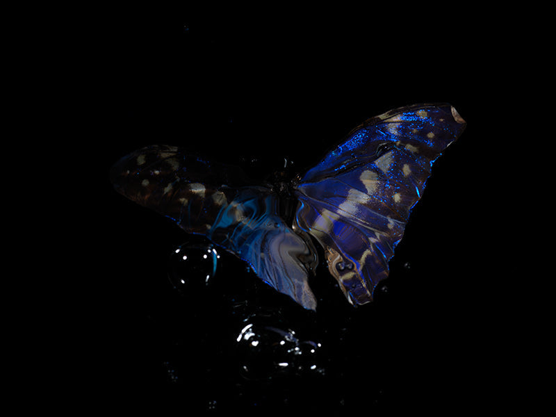 Underwater study held underwater with surface ripples and colour and hushed light