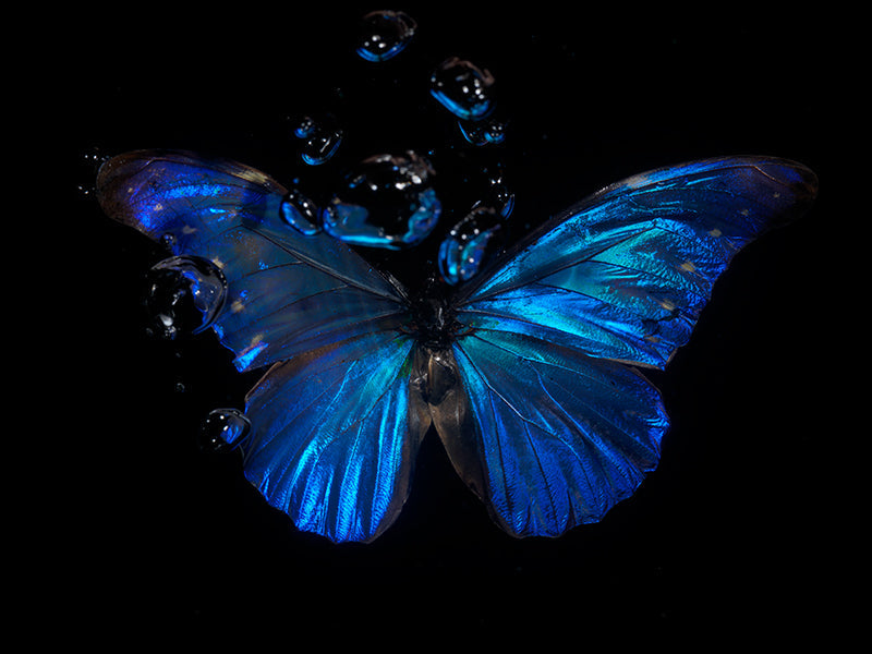 Underwater underwater study unfurling with quiet eddies and blue and clear light