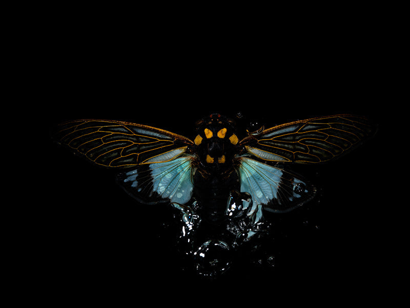 Underwater underwater study curving with soft refraction and water and deep shadow