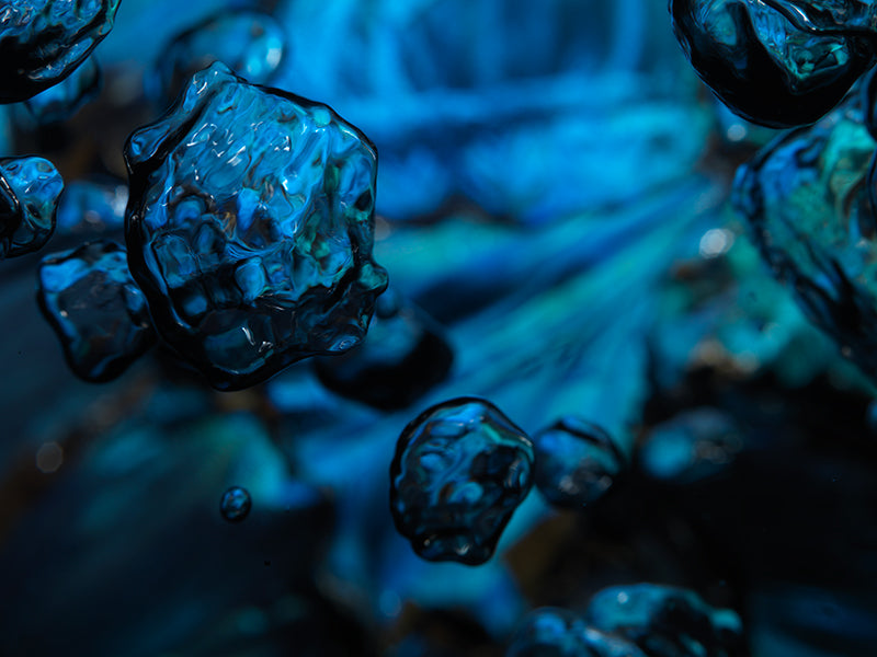 Underwater quiet still life composed with quiet eddies and maestro in hushed light