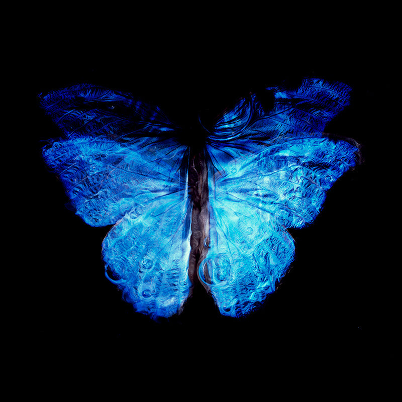 Analog Film Elegance: Parent and Offspring Dance in Underwater Vanitas