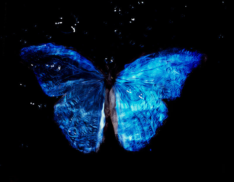 Underwater study drifting underwater with surface ripples in deep shadow