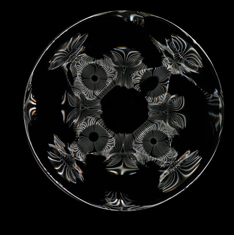 Underwater study held underwater with soft refraction and ligo and hushed light