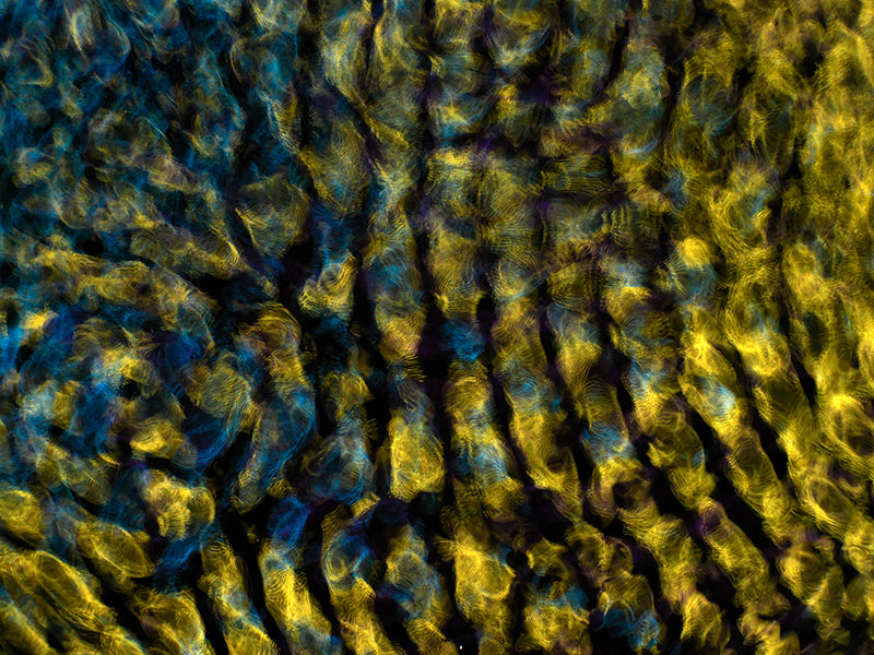 Underwater still life underwater in silver light with quiet eddies and line