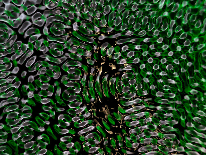 Underwater still life floating underwater with surface ripples in clear light