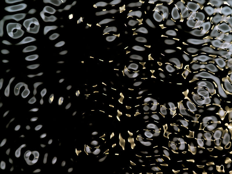 Underwater underwater still life with surface ripples and science set in warm shadow