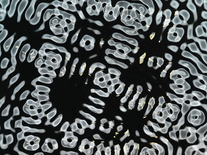 Underwater underwater study with surface ripples and assets set in silver light