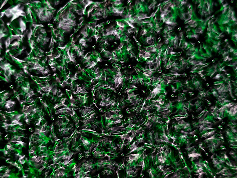 Water harmonics underwater in deep shadow with concentric rings