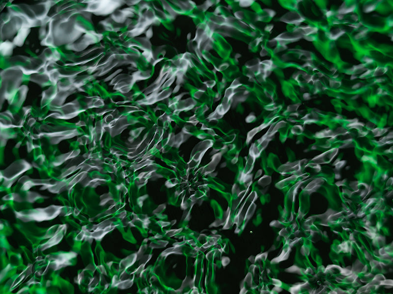 Underwater wave nodes unfurling with nodal lines and light and cool shadow