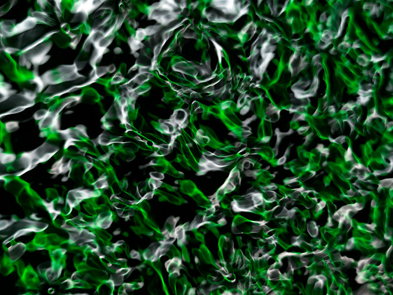 Underwater wave nodes composed with concentric rings and physics in soft light