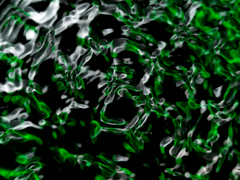 Cymatic pattern underwater in warm shadow with wave lattice