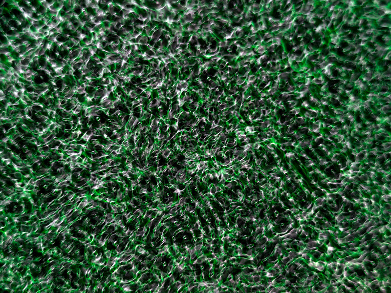 Cymatic pattern curving underwater with wave lattice and physics in cool shadow