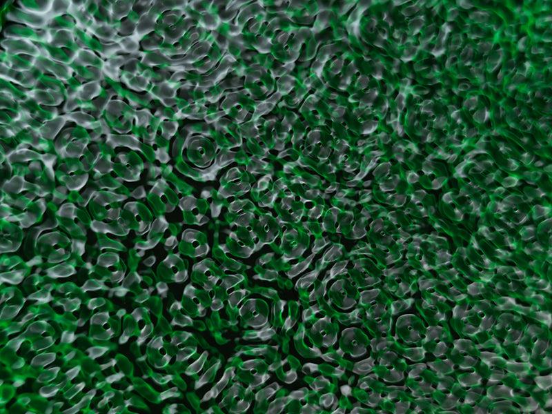 Wave nodes drifting underwater with concentric rings and physics in hushed light