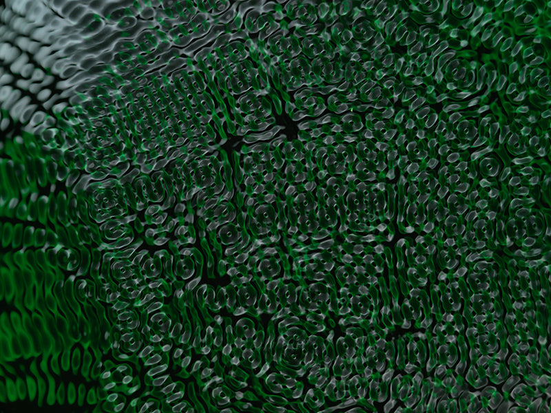 Cymatic pattern held underwater with concentric rings and dim light