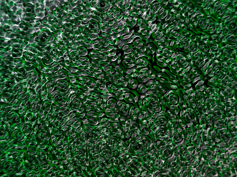 Underwater cymatic pattern with wave lattice and physics set in deep shadow