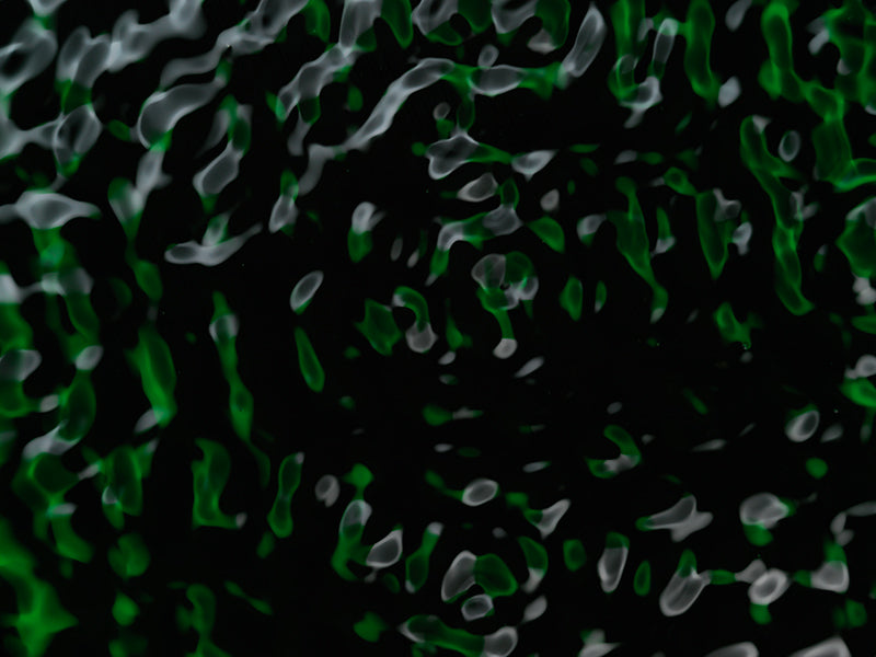 Wave nodes underwater in soft light with concentric rings and physics