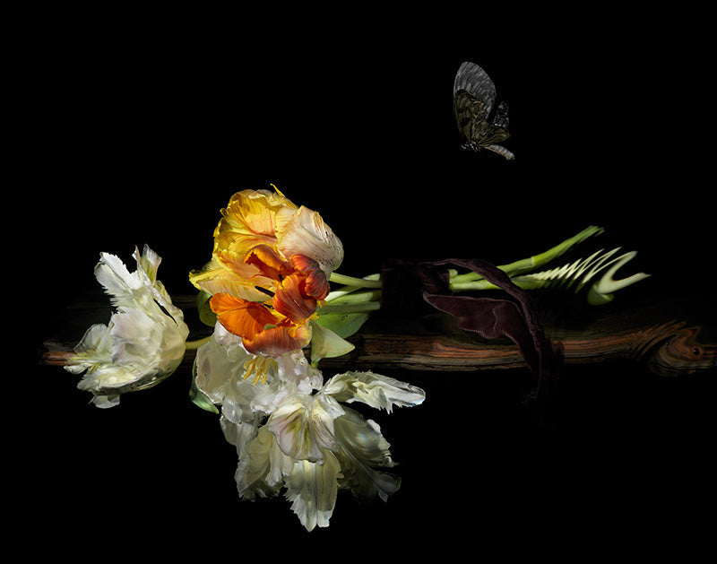 Quiet still life held underwater with surface ripples and artwork and cool shadow