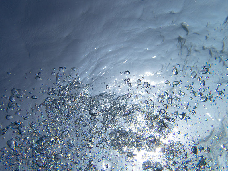Bubble field resting underwater with microbubbles in cool shadow