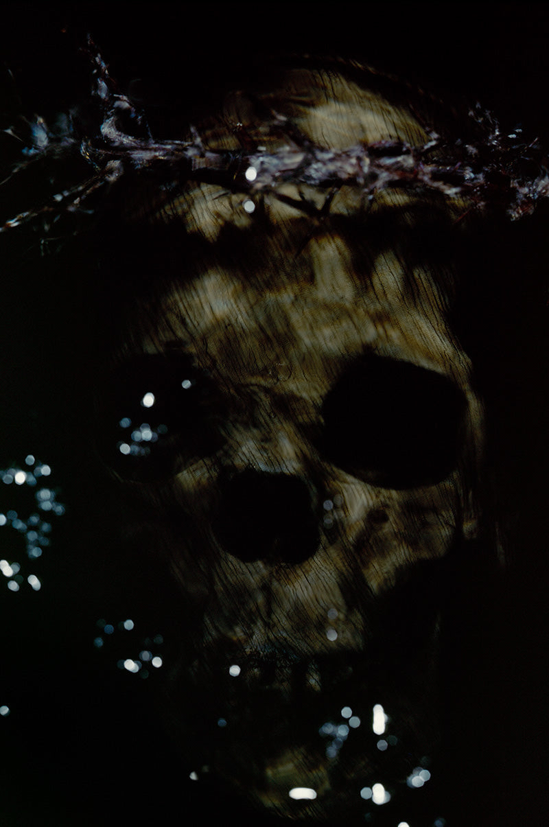 Underwater vanitas skull hovering with jaw line and skull and warm shadow