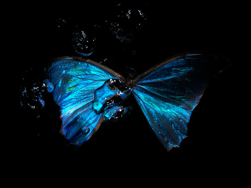Quiet still life underwater in deep shadow with surface ripples and artists