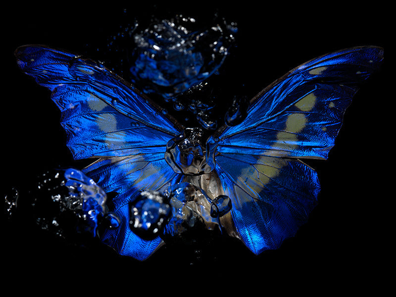 Underwater underwater still life with surface ripples and water set in clear light