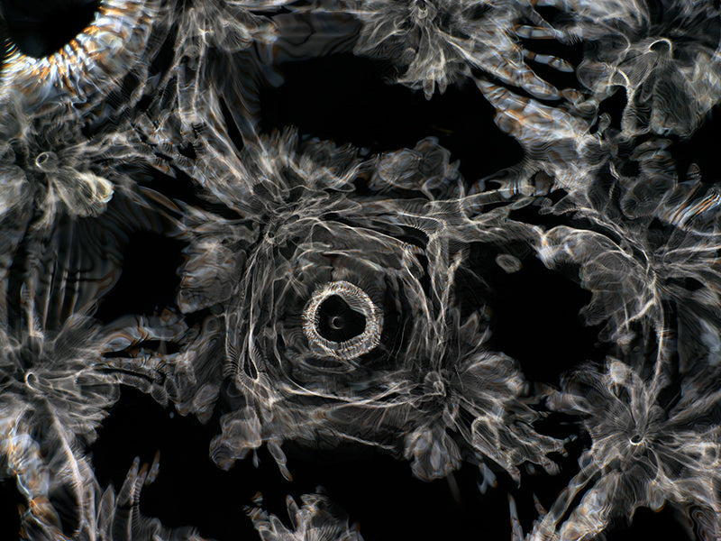 Underwater underwater still life composed with surface ripples and science in clear light
