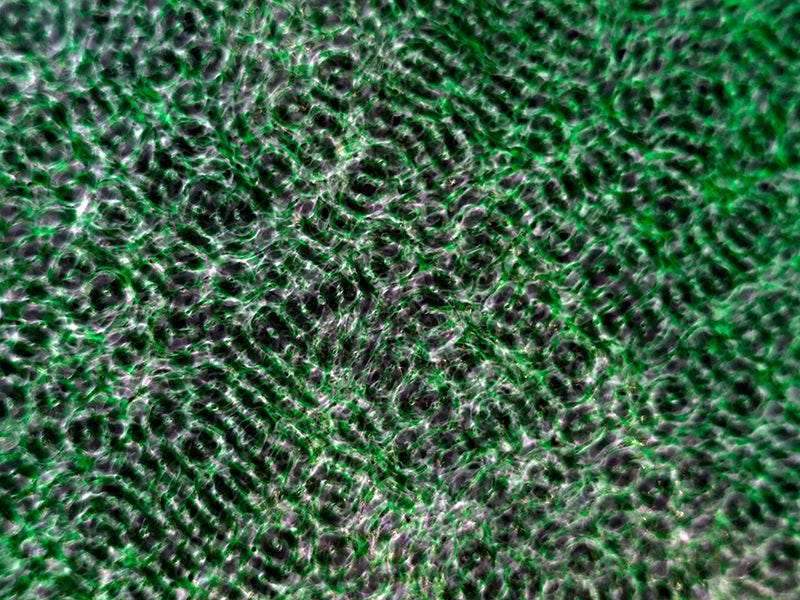Underwater study hovering underwater with soft refraction and science in deep shadow