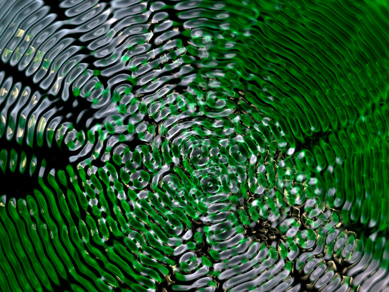 Underwater study held underwater with quiet eddies and einstein and dim light