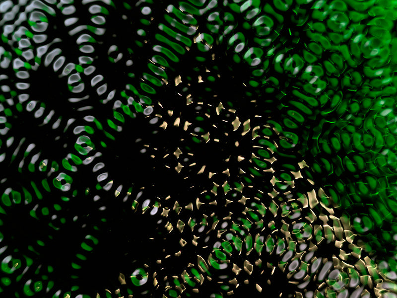 Underwater study underwater in pale light with soft refraction and science