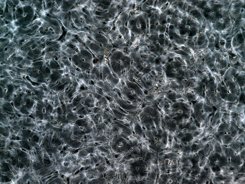 Underwater underwater still life suspended with soft refraction and waves and silver light