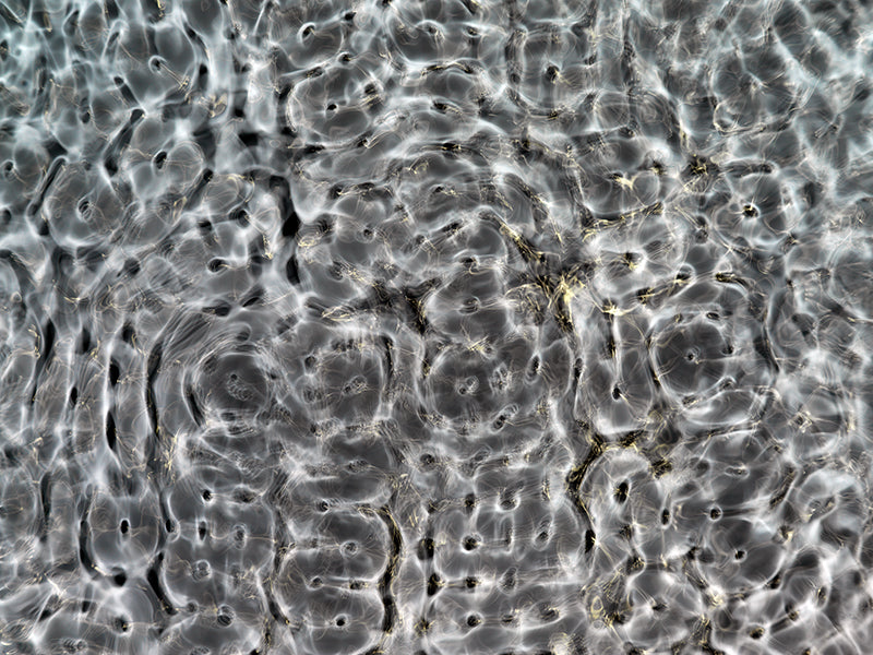 Underwater study held underwater with quiet eddies and dim light