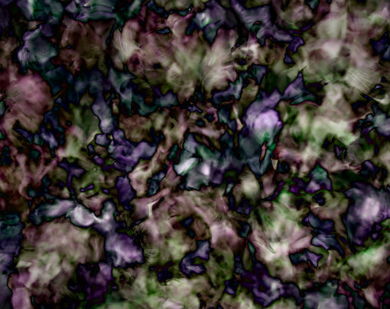 Underwater floral still life with drifting petals set in clear light