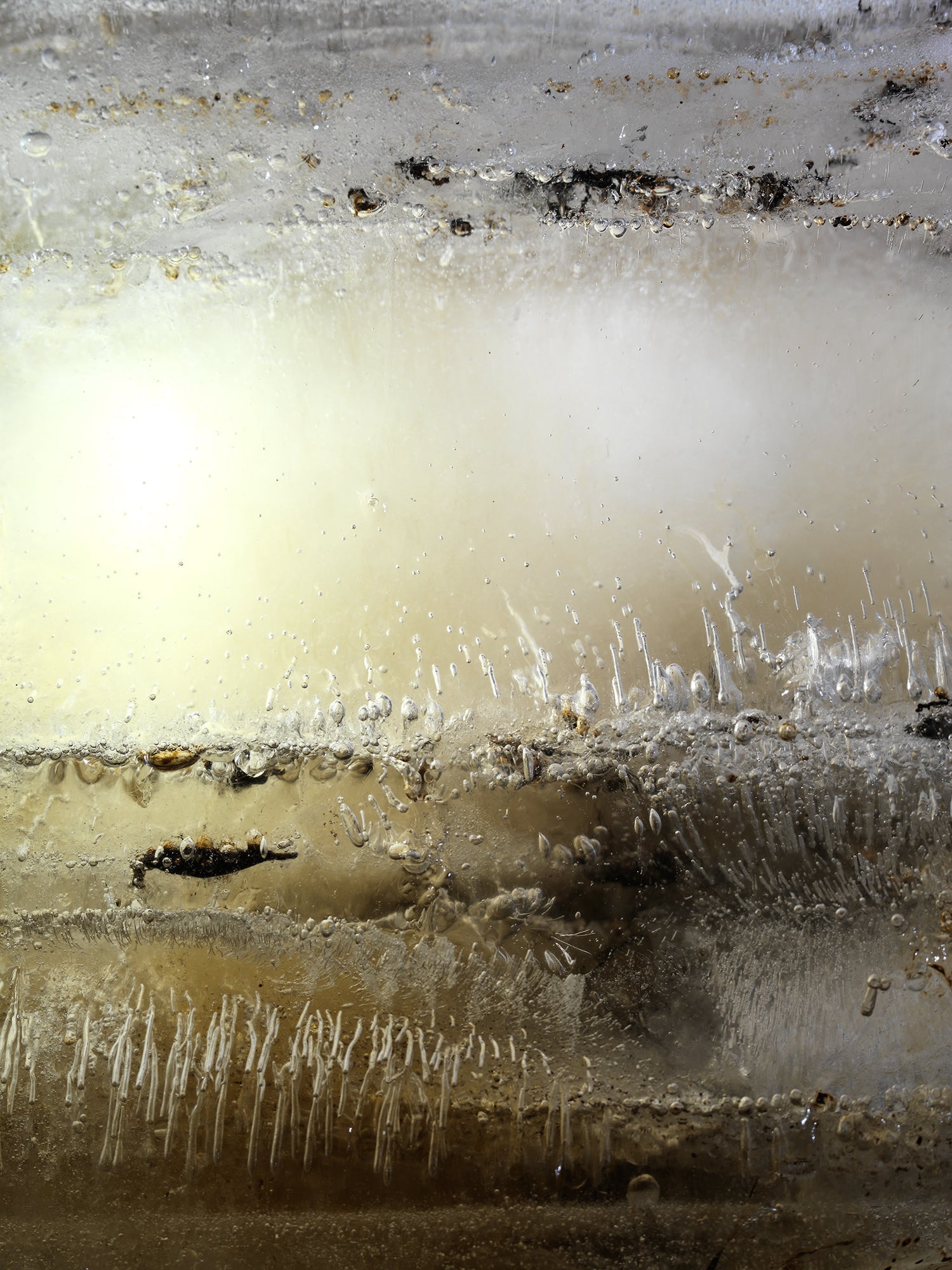 Underwater oil and water with sheen gradients set in cool shadow