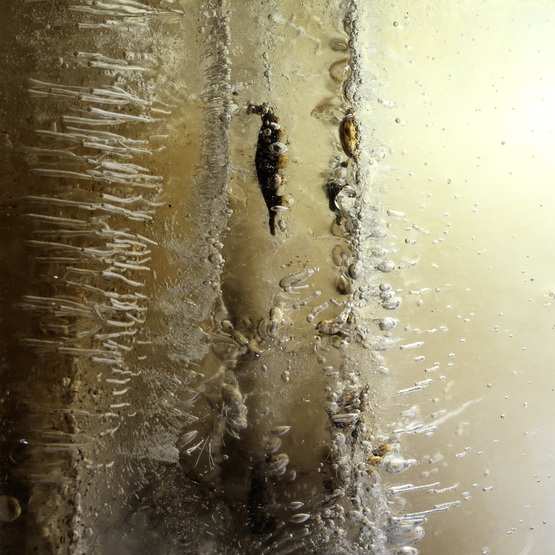 Oil film floating underwater with swirling film and artworkls in cool shadow