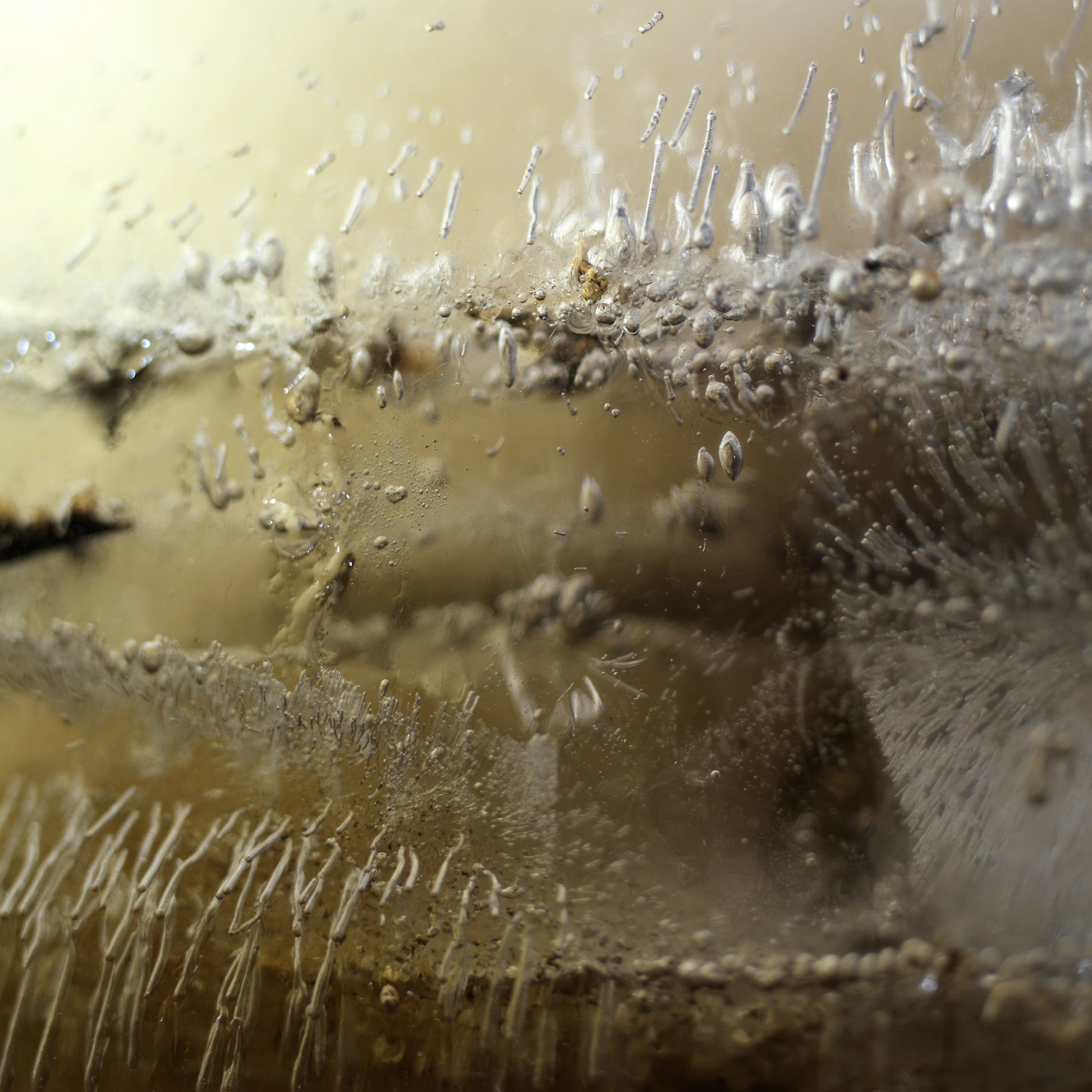 Underwater oil and water composed with swirling film in cool shadow