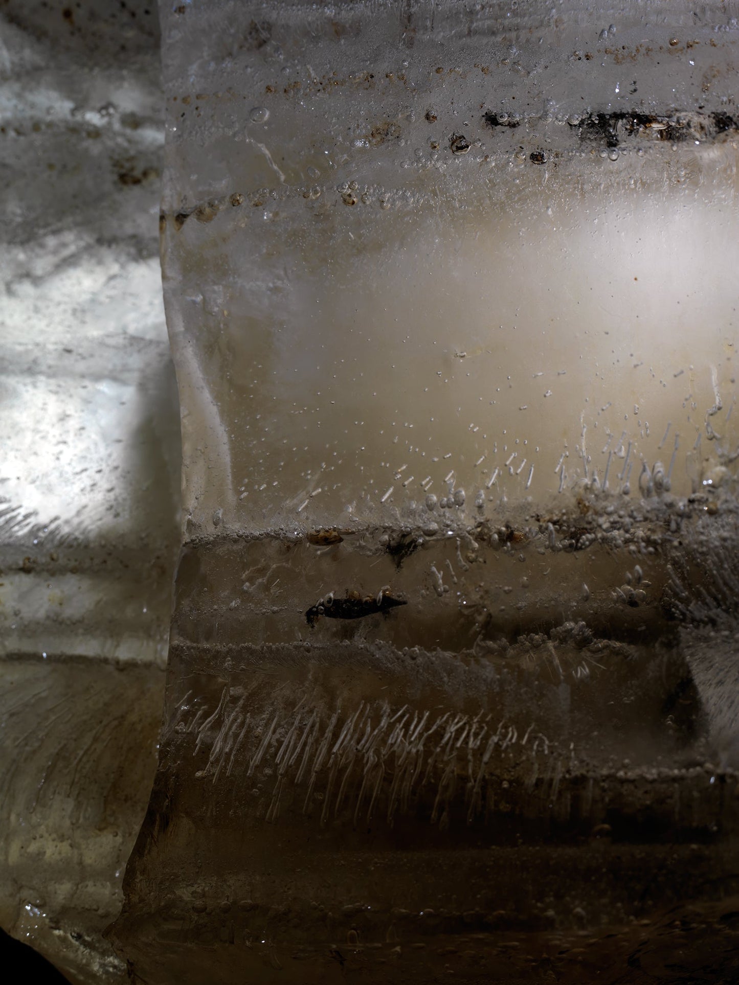 Oil film hovering underwater with swirling film and analogue in silver light
