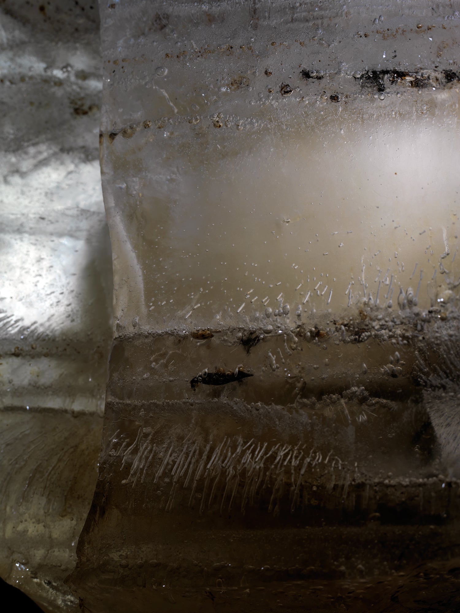 Oil film hovering underwater with swirling film and analogue in silver light