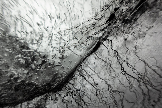 Empirical Evidence photograph research artworks made frozen crude river Verdant Mid Tone tonality