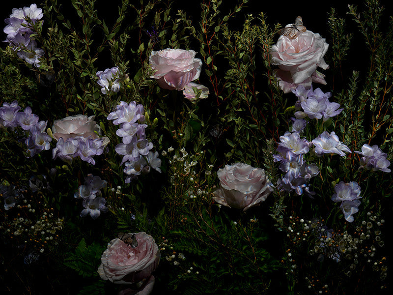 Underwater memento mori skull unfurling with jaw line and floral and deep shadow