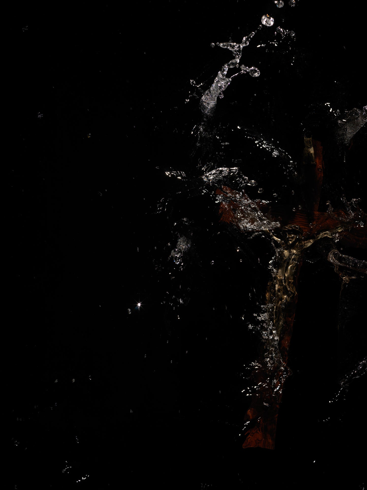 A quiet crucifixion in the dark water