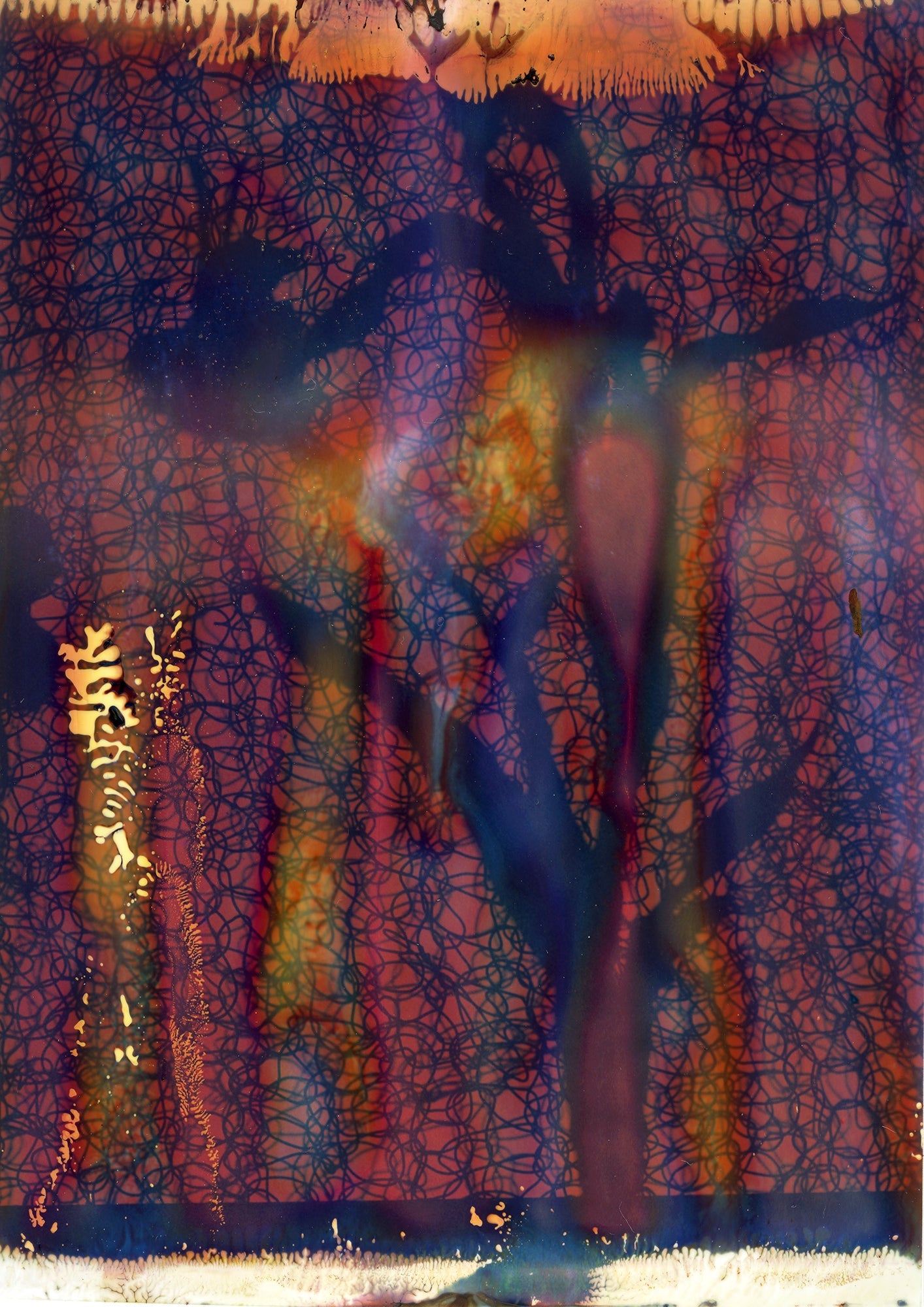 Underwater quiet still life composed with soft refraction and from in warm shadow