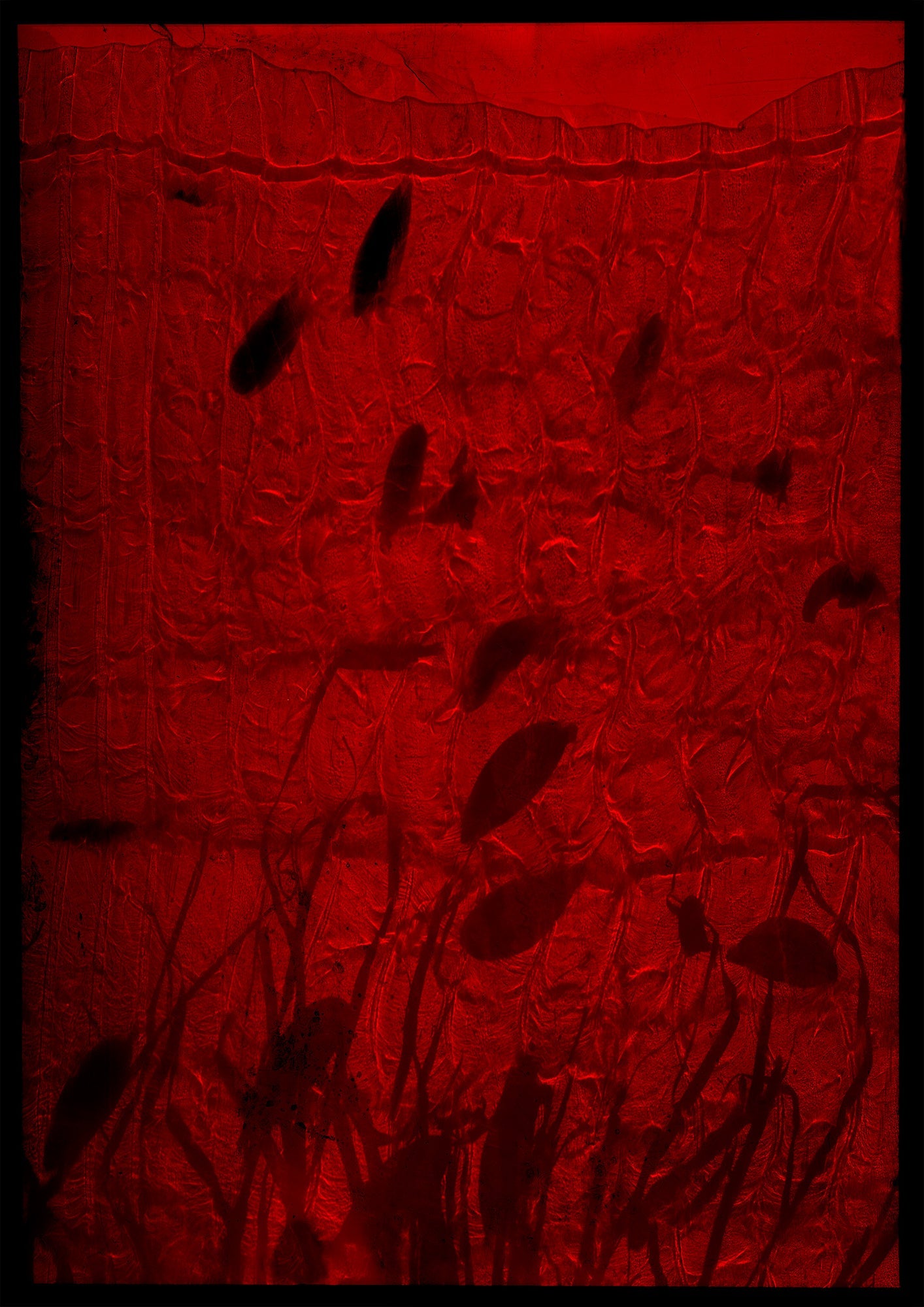Underwater study drifting underwater with surface ripples and photogram in deep shadow