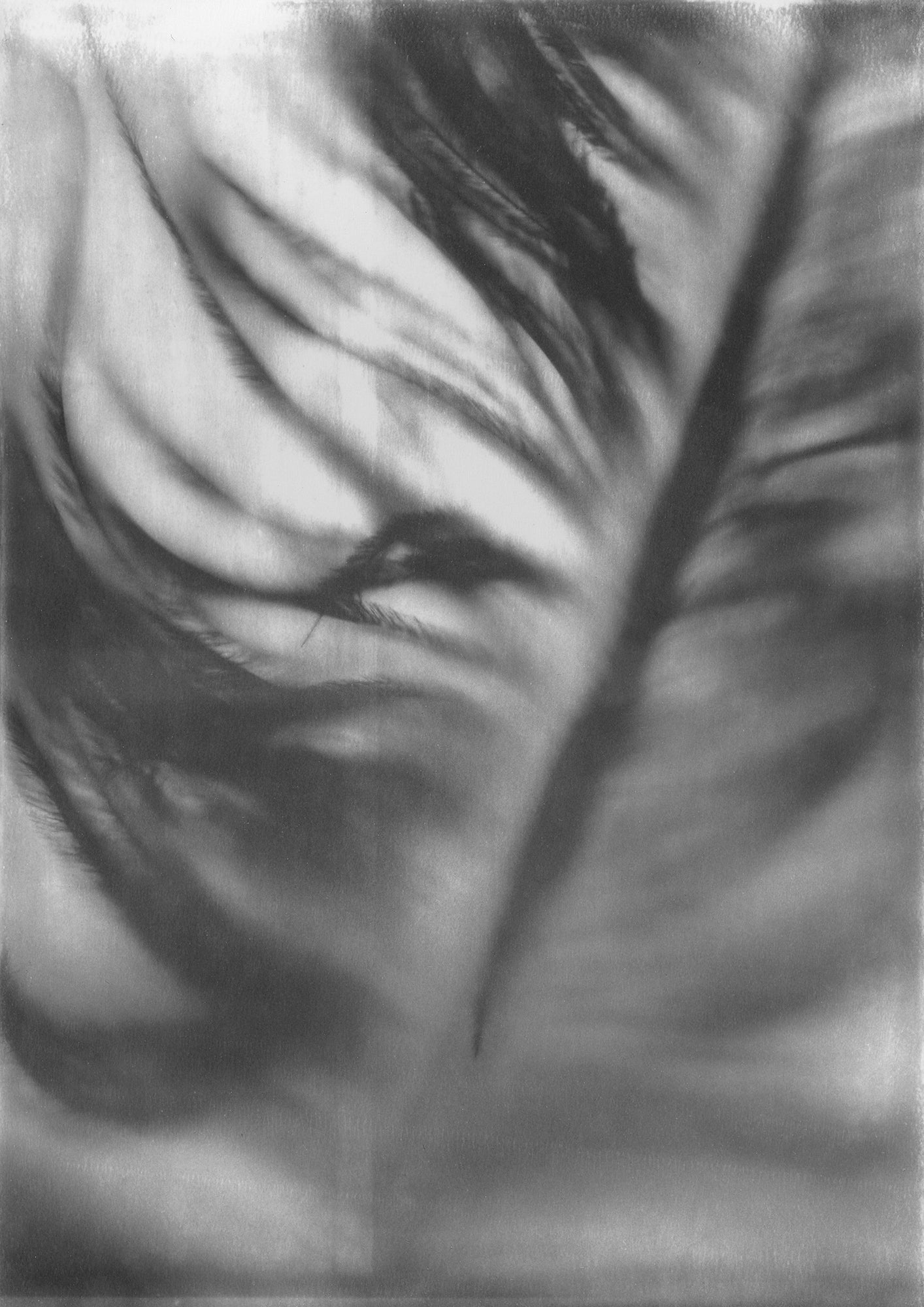 Underwater quiet still life composed with soft refraction and film in deep shadow