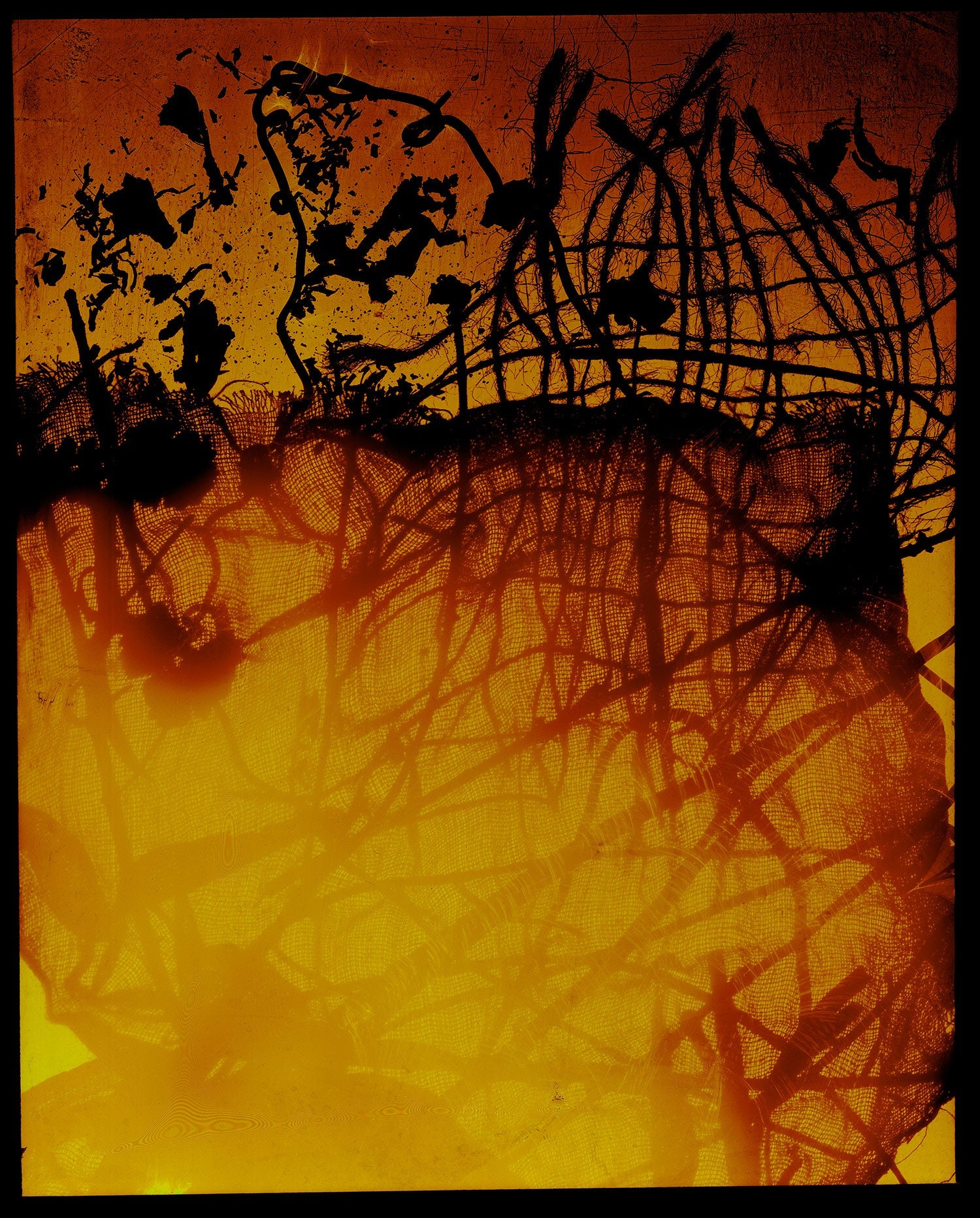 Underwater underwater study rising with quiet eddies and photogram and deep shadow