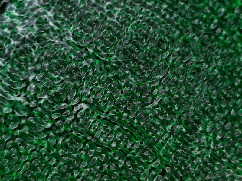 Cymatic pattern floating underwater with nodal lines in warm shadow