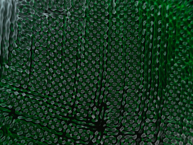 Underwater cymatic pattern with concentric rings and cymatic set in low light