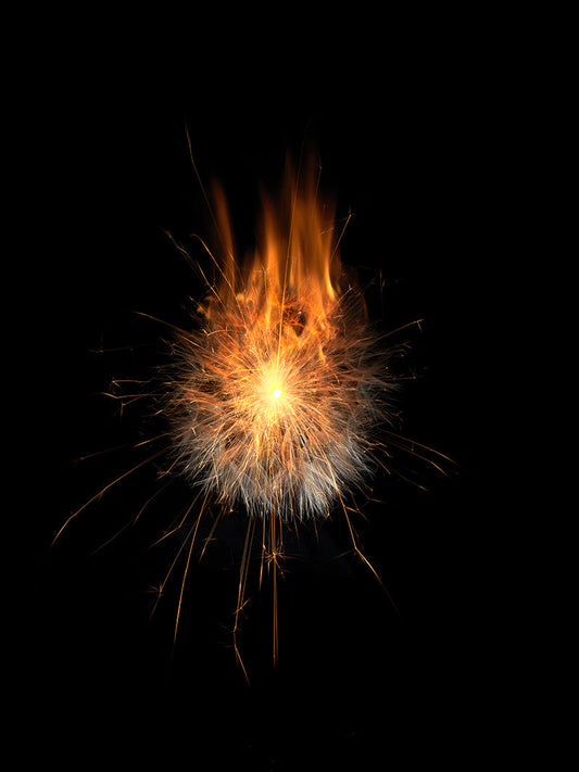 Underwater photograph exploding flower series sparks energy shot Warm Low Light tonality from the Fusion series